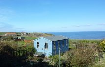 Blue Shed Studio